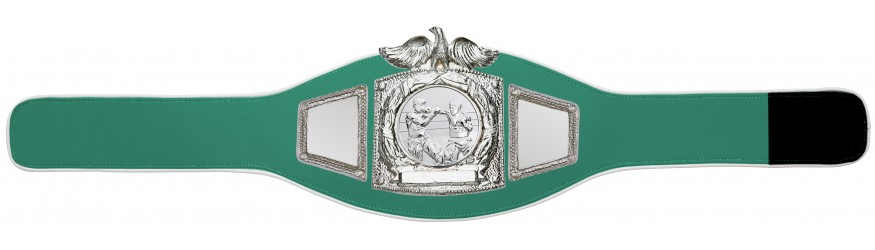 PROEAGLE BOXING CHAMPIONSHIP BELT - PROEAGLE/S/BOXS - AVAILABLE IN 6+ COLOURS